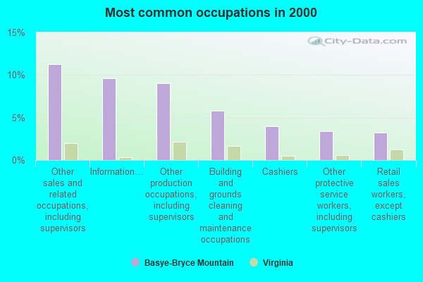 Common Occupations 2000 Basye Bryce Mountain VA Small 