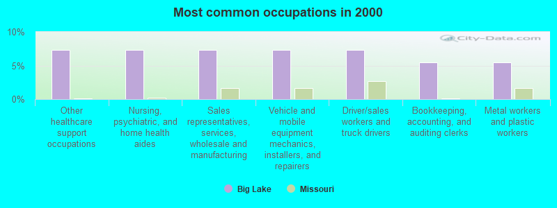 Most common occupations in 2000