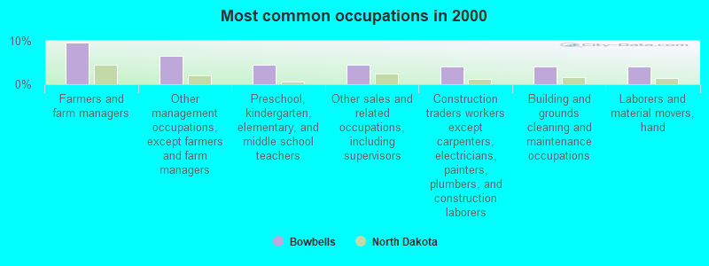 Most common occupations in 2000