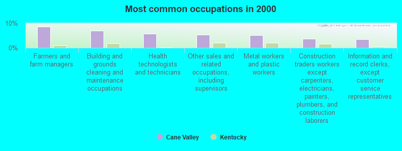 Most common occupations in 2000