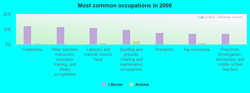 Most common occupations in 2000