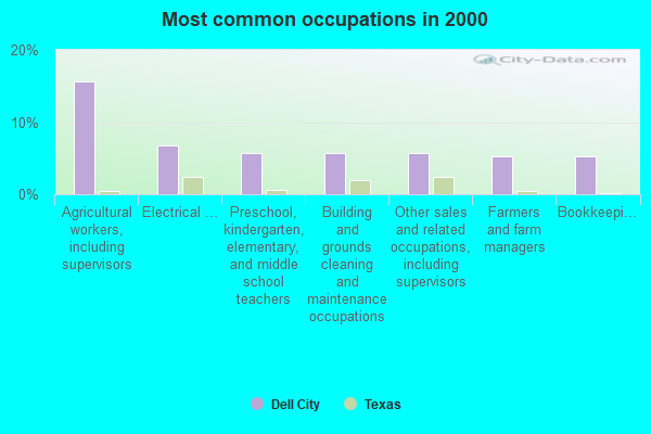 Dell City; Texas (TX 79837) profile: population; maps; real estate