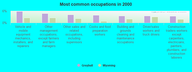 Most common occupations in 2000