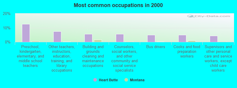 Most common occupations in 2000