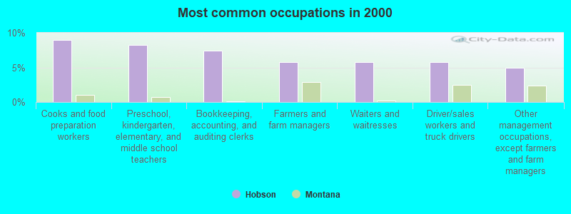 Most common occupations in 2000