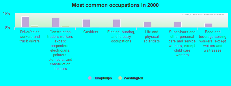 Most common occupations in 2000