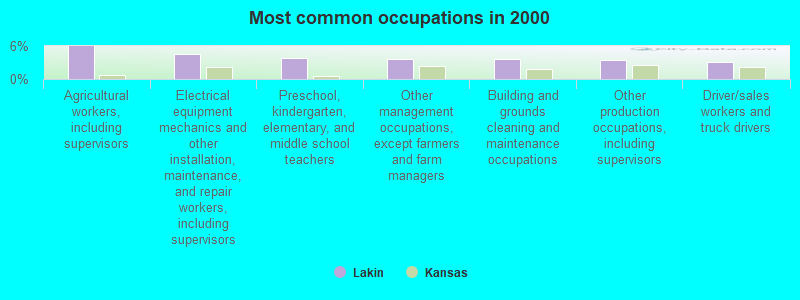 Most common occupations in 2000