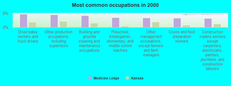 Most common occupations in 2000