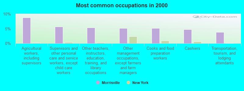 Most common occupations in 2000