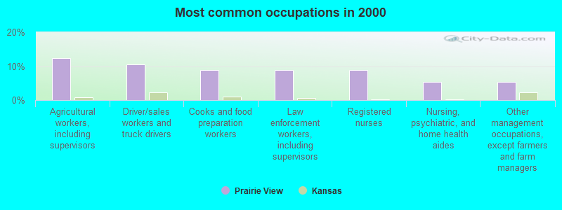 Most common occupations in 2000