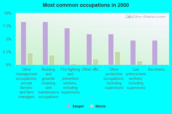 Sauget, Illinois (IL 62206) profile population, maps, real estate