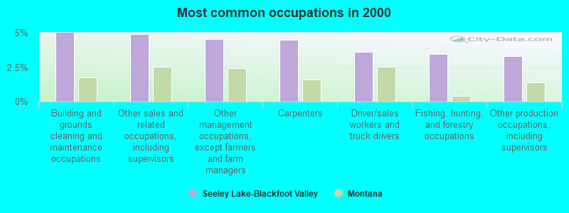 Most common occupations in 2000