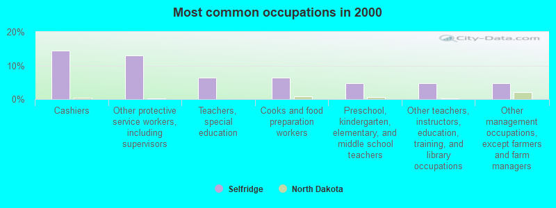 Most common occupations in 2000