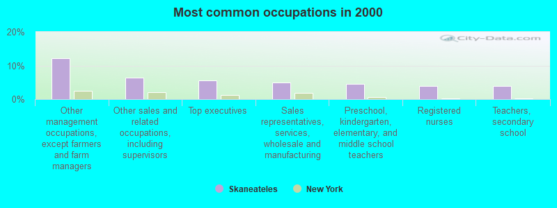 Most common occupations in 2000