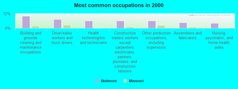 Most common occupations in 2000