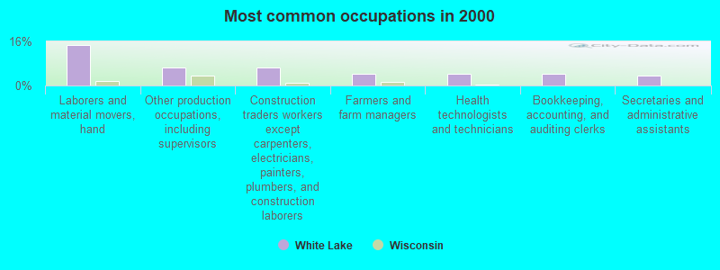 Most common occupations in 2000