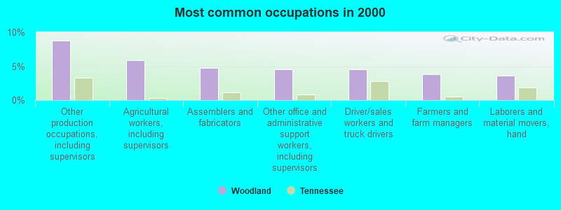 Most common occupations in 2000