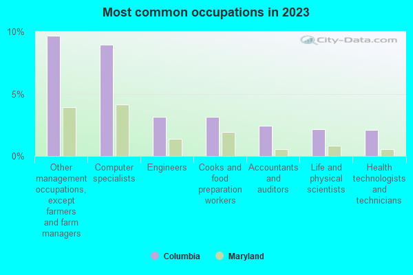 Most common occupations in 2019