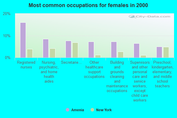 Amenia, New York (NY 12501) profile population, maps