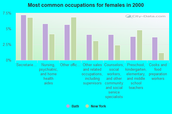 bath new york population bath new york population