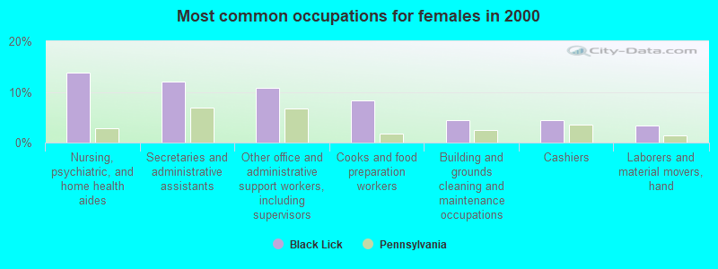 Most common occupations for females in 2000