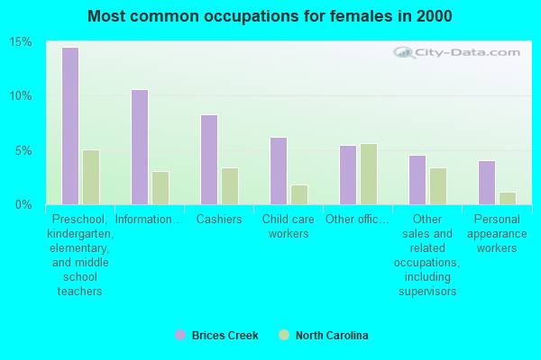Brices Creek, North Carolina (NC 28562, 28573) profile population