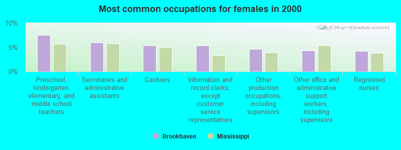 About Brookhaven  Schools, Demographics, Things to Do 