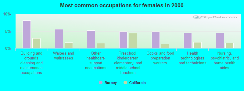 Most common occupations for females in 2000