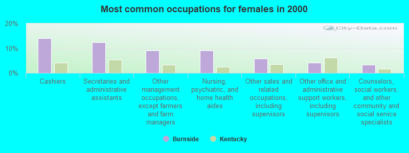 Most common occupations for females in 2000