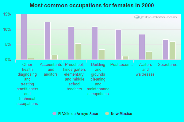 El Valle de Arroyo Seco, New Mexico (NM 87532) profile population
