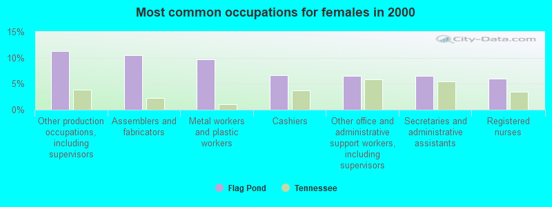 Most common occupations for females in 2000