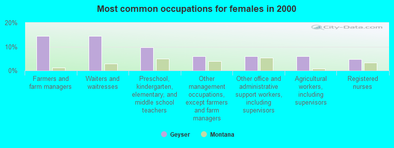 Most common occupations for females in 2000