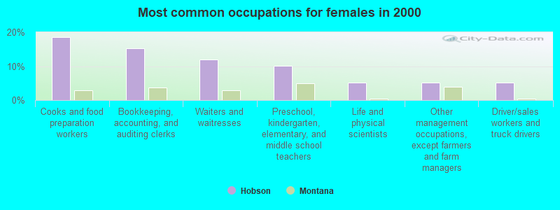 Most common occupations for females in 2000