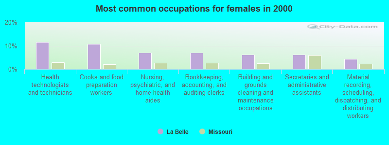 Most common occupations for females in 2000