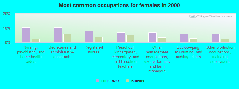 Most common occupations for females in 2000