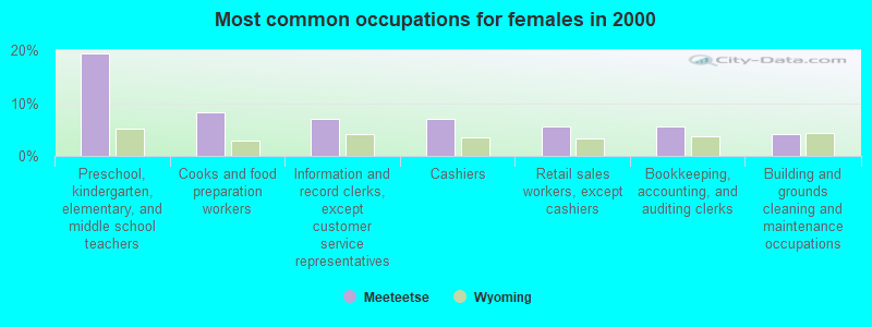 Most common occupations for females in 2000