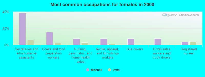 Most common occupations for females in 2000