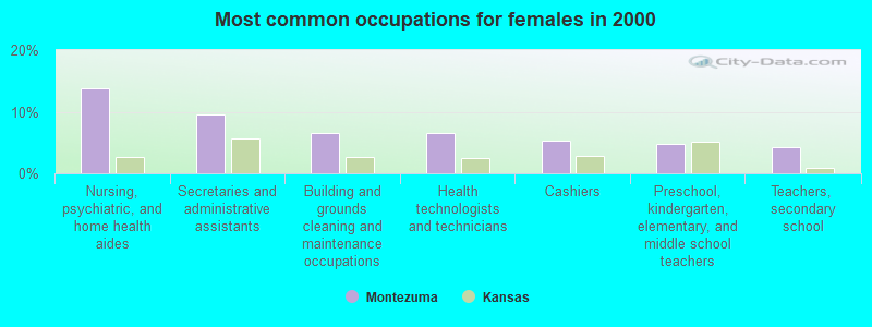 Most common occupations for females in 2000