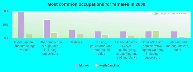 Most common occupations for females in 2000