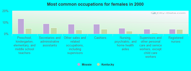 Most common occupations for females in 2000