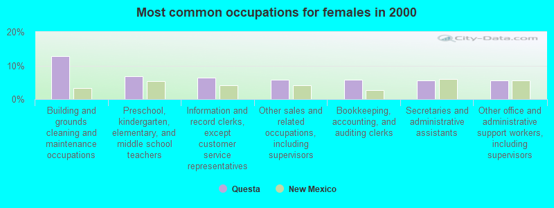 Most common occupations for females in 2000