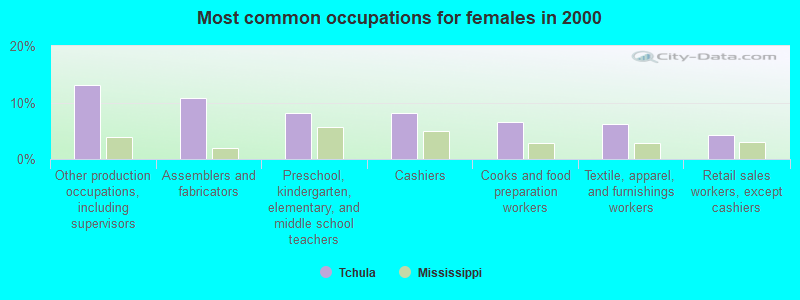 Most common occupations for females in 2000