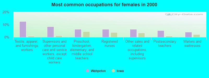 Most common occupations for females in 2000