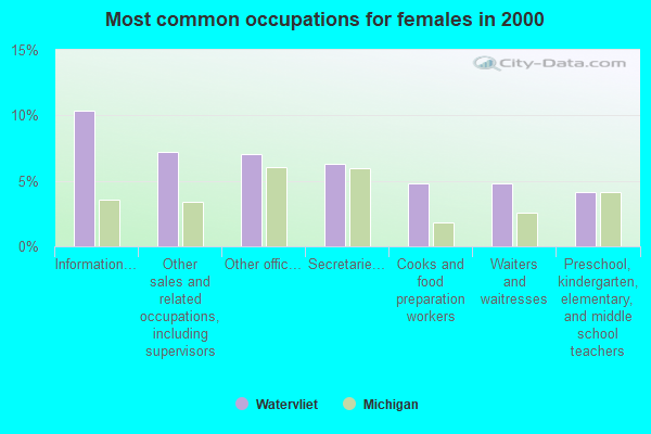 Common Occupations Female 2000 Watervliet MI Small 
