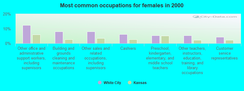 Most common occupations for females in 2000