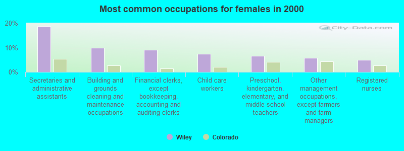 Most common occupations for females in 2000