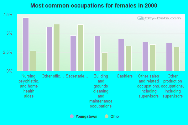 Youngstown, Ohio (OH) profile population, maps, real