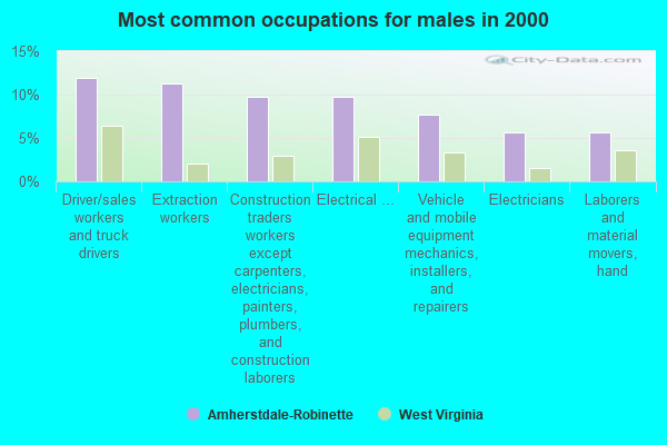 West Virginia (WV 25607) profile population