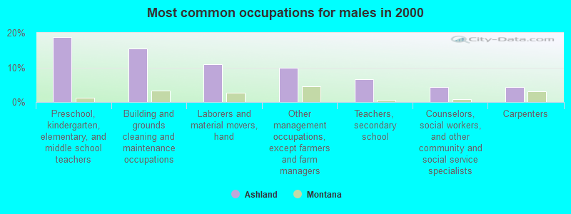 Most common occupations for males in 2000