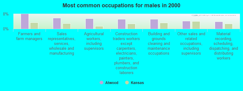 Most common occupations for males in 2000